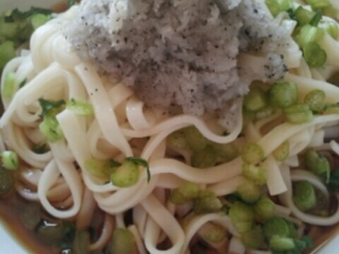 三浦野菜を使って♪　真っ黒大根おろしうどん